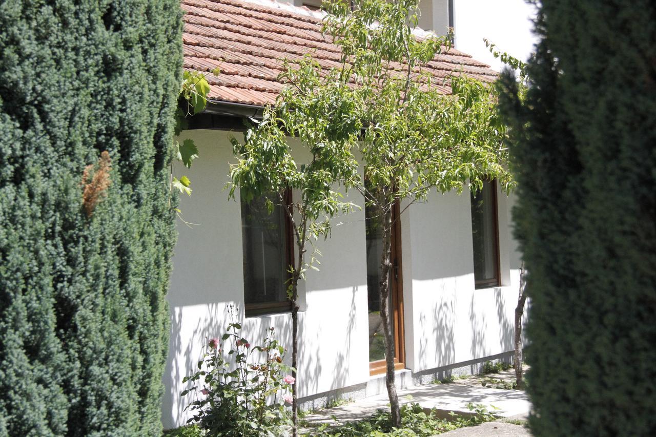 Garden Guesthouse Gjakova Ngoại thất bức ảnh